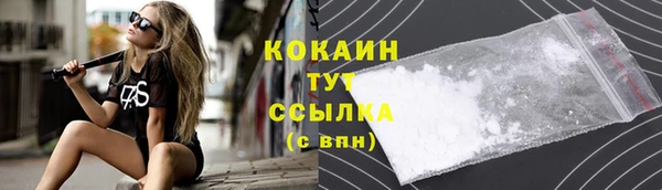 PSILOCYBIN Кинешма