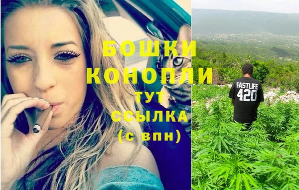 PSILOCYBIN Кинешма
